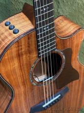 Taylor 【Taylor 選定品‼】 724ce Gloss V-Class -Hawaiian Koa- #1208224088【48回迄金利0%対象】_4