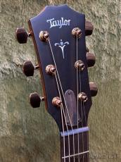 Taylor 【Taylor 選定品‼】 724ce Gloss V-Class -Hawaiian Koa- #1208224088【48回迄金利0%対象】_5