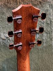 Taylor 【Taylor 選定品‼】 724ce Gloss V-Class -Hawaiian Koa- #1208224088【48回迄金利0%対象】_6