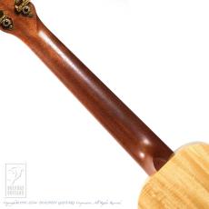 KIGE WORK SHOP Concert 16 (Prima vera)_9