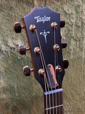 Taylor 724ce Gloss V-Class -Hawaiian Koa- #1208234024【48回迄金利0%対象】【送料当社負担】_4