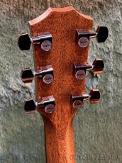 Taylor 724ce Gloss V-Class -Hawaiian Koa- #1208234024【48回迄金利0%対象】【送料当社負担】_5