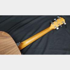 Taylor Taylor Taylor 110e walnut_10