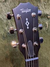 Taylor 【New Version!!】314ce Next Generation #1210215015 【Claria™搭載】【48回迄金利0%対象】【送料当社負担】_4