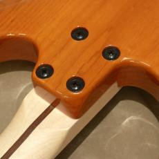 Greco WS-ADV-G / QT, Amber【店頭在庫】_9