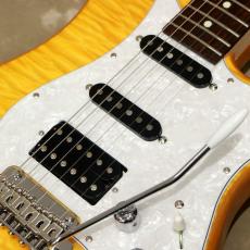 Greco WS-ADV-G / QT, Amber【店頭在庫】_10