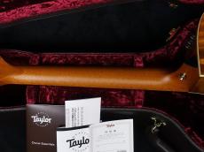 Taylor Limited Edition K24ce AA Top_9