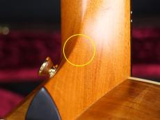 Taylor Limited Edition K24ce AA Top_11