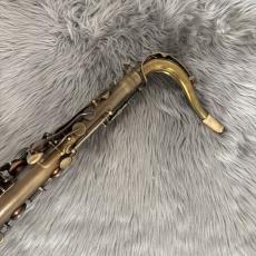 CannonBall TVR-BR -Brute-　藤田淳之介氏　選定品_6