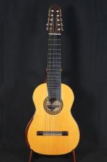 中出敏彦 Master Deluxe50  10弦　松/ハカランダ単板　ワンオーナー新品同様_2