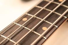 Fender 1960 Fender Precision Bass "Slab Fingerboard Neck with Two Tone Burst"_4