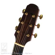 ALLMAN AJA-25NS (German Spruce & Jacaranda)_7