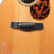 ALLMAN AJA-25NS (German Spruce & Jacaranda)_12