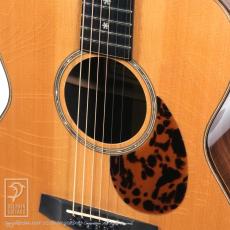 ALLMAN AJA-25NS (German Spruce & Jacaranda)_13