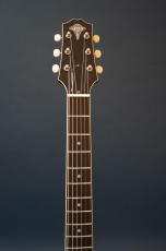 Stringphonic LeRoy SA-P90_6