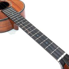 ◇試奏動画付 【KAMAKA】HF-3D2I #230658 テナーサイズ_9