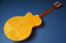 Stringphonic LeRoy SA-P90_2