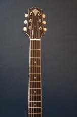 Stringphonic LeRoy SA-P90_6