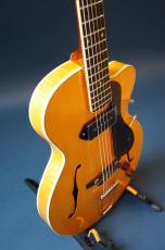 Stringphonic LeRoy SA-P90_8
