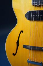 Stringphonic LeRoy SA-P90_10