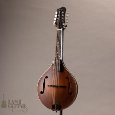 Eastman(イーストマン)、フラットマンドリンの検索結果1～17件【楽器