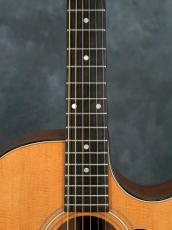 Taylor 1993 712C_5