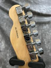 Fender American Professional Telecaster Deluxe ShawBucker_6