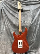FUJIGEN EOS2-FM-R/RKG_3