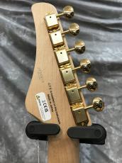 FUJIGEN EOS2-FM-R/RKG_6