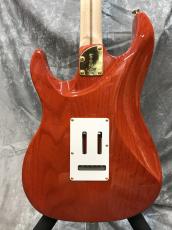 FUJIGEN EOS2-FM-R/RKG_7