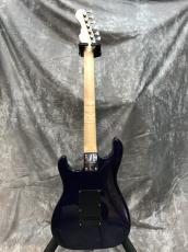 momose MC24-MV-TOCHI WSE 24/NJ Hydrangea Blue Burst_7