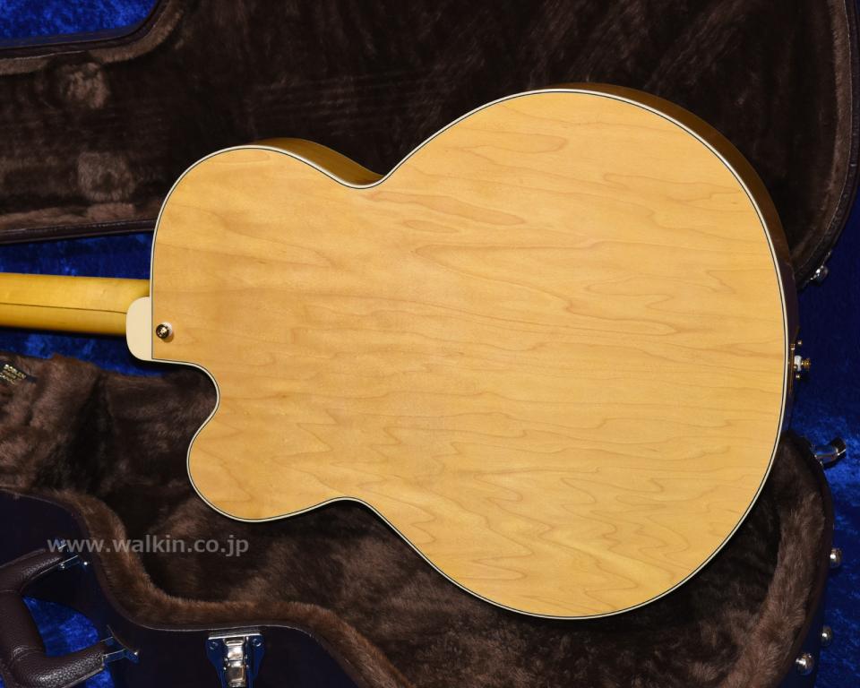 Archtop Tribute AT350 2020年代 新品 1072060 Archtop Tribute(アーチ
