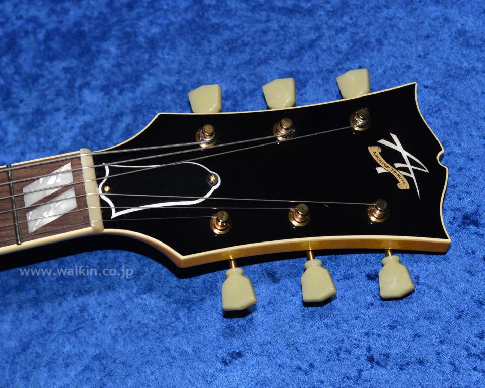 Archtop Tribute AT350 2020年代 新品 1072060 Archtop Tribute(アーチ