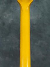 Gibson Custom Shop Japan Limited 1959 Les Paul Special Double Cutaway VOS Bright TV Yellow_12