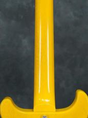 Gibson Custom Shop Japan Limited 1959 Les Paul Special Double Cutaway VOS Bright TV Yellow_13