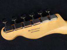 Fender Player II Telecaster Mocha_9
