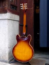 Campbell ’80 CAS-85 ES-335 Model_2