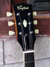 Campbell ’80 CAS-85 ES-335 Model_4