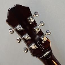 Epiphone Noel Gallagher Riviera Dark Wine Red_4