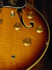 Campbell ’80 CAS-85 ES-335 Model_8