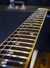 Campbell ’80 CAS-85 ES-335 Model_9