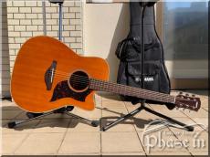 YAMAHA A1M w / YAMAHA GisCase 【期間限定価格】_8