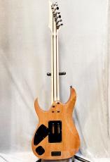 Ibanez Prestige RG5120M -PRT Polar Lights- 【Made In Japan】【Stainless Steel Frets】_4
