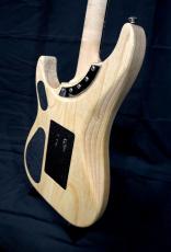Washburn N4-NUNO SWAMP ASH USA_8