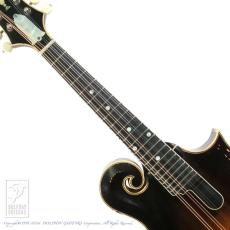 WADE FW-5 with VIRZI tone producer_5