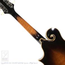 WADE FW-5 with VIRZI tone producer_6