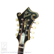 WADE FW-5 with VIRZI tone producer_7
