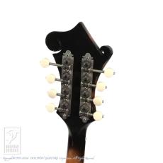 WADE FW-5 with VIRZI tone producer_8