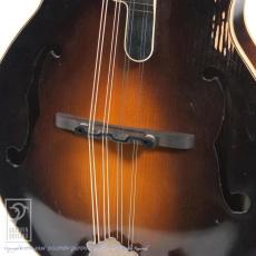 WADE FW-5 with VIRZI tone producer_10