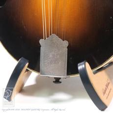 WADE FW-5 with VIRZI tone producer_11